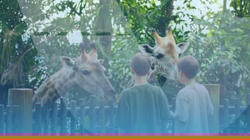 How Ticketing Systems For Zoos and Animal Attractions Can Increase Footfall