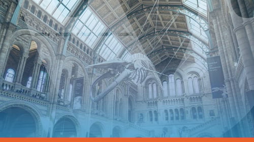 How Can Museums Attract More Visitors?