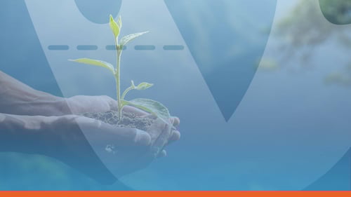 How To Make Your Visitor Attraction More Sustainable