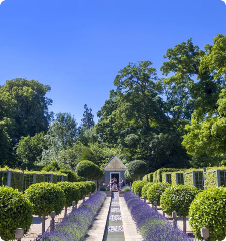 castle gardens at visitor attraction